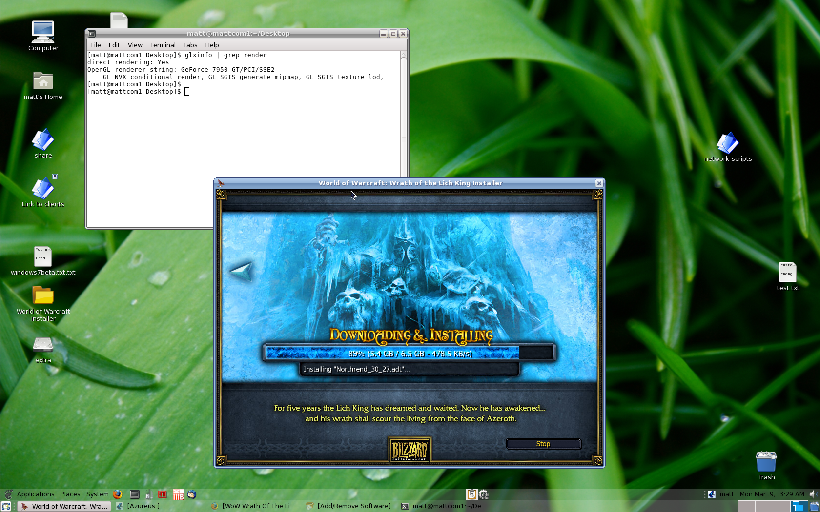 Scanning files world of warcraft after patch download pc